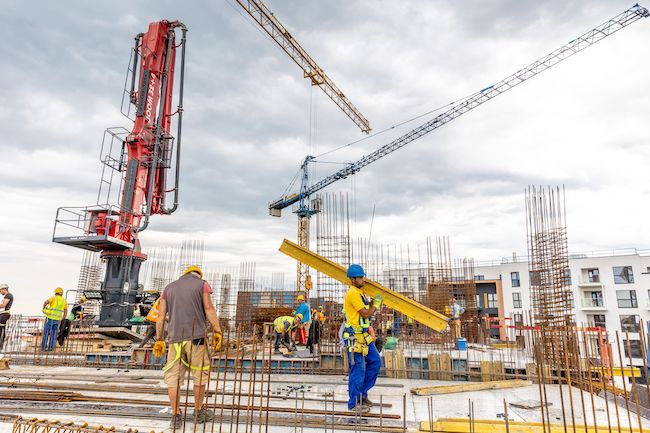 Concelex offsets its carbon footprint by providing support for the ...